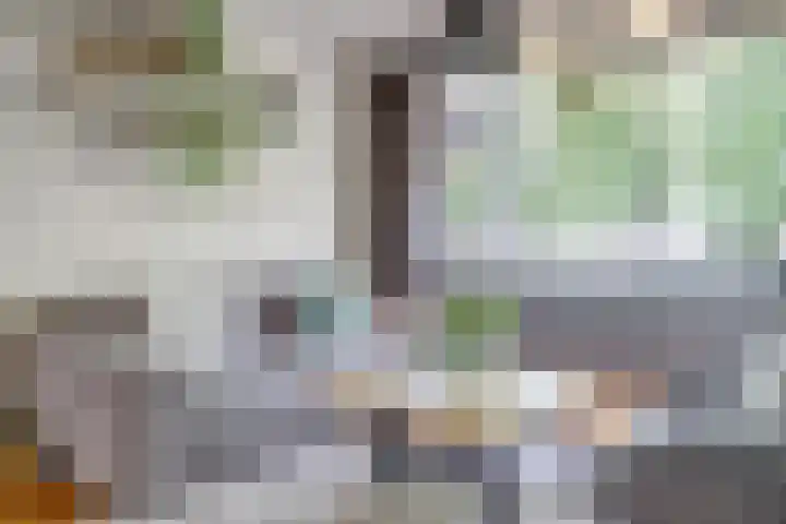 Meent 55 Leerdam thumbnail 8