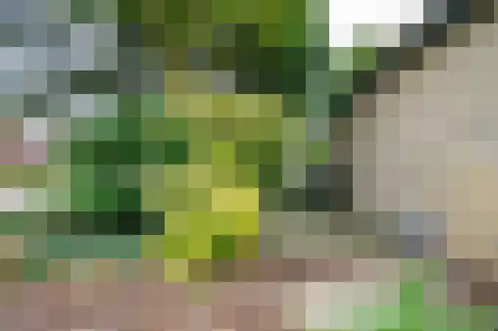 Meent 6 A Rotterdam thumbnail 24