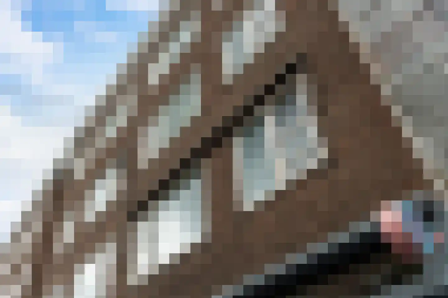 Meent 7 B Rotterdam thumbnail 31