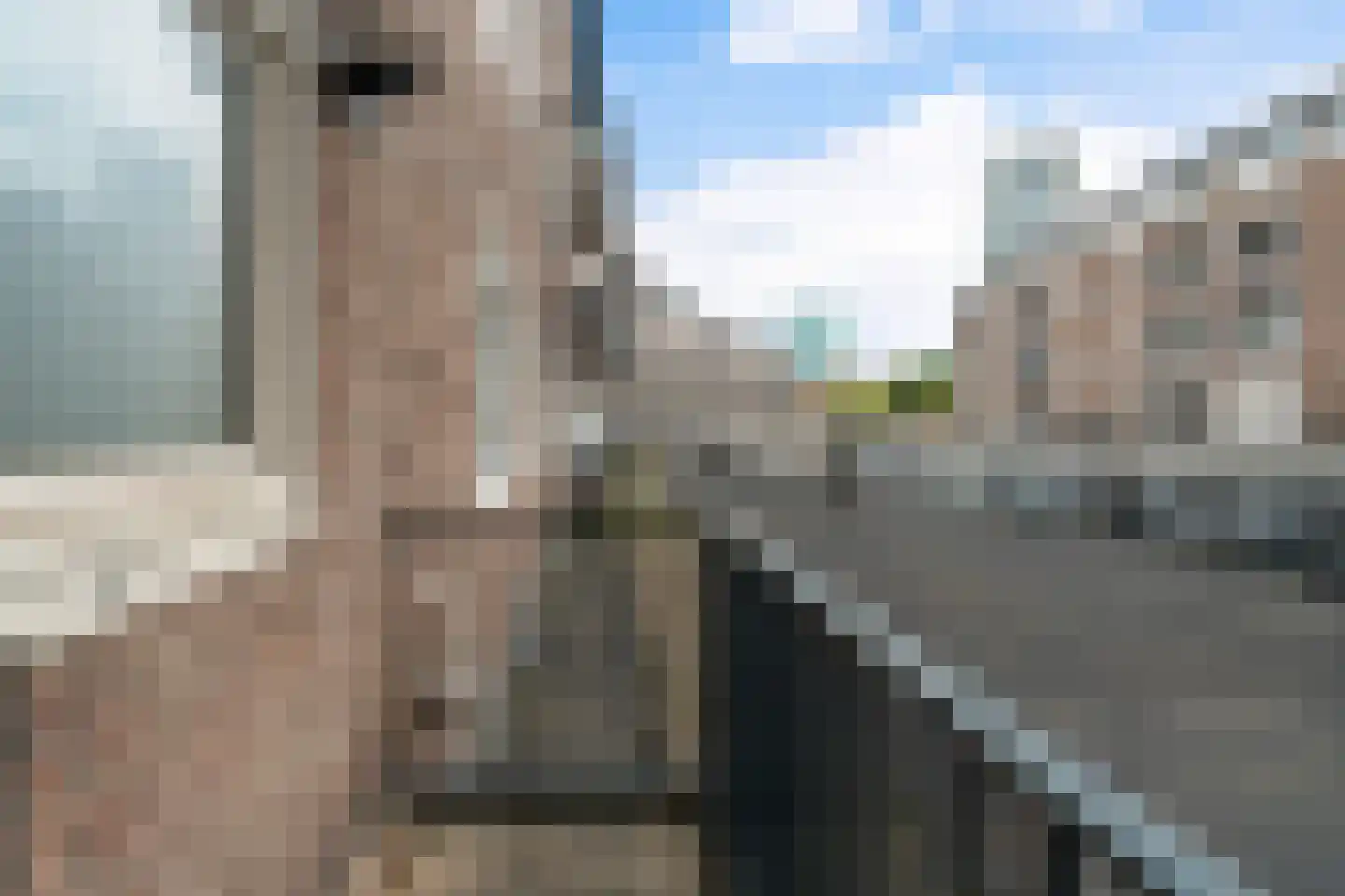 Meent 7 B Rotterdam thumbnail 9