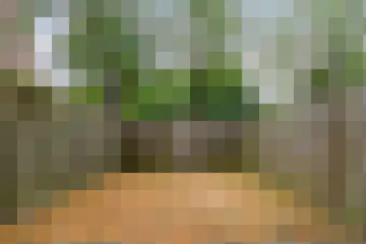 Meent 7 Horst thumbnail 16