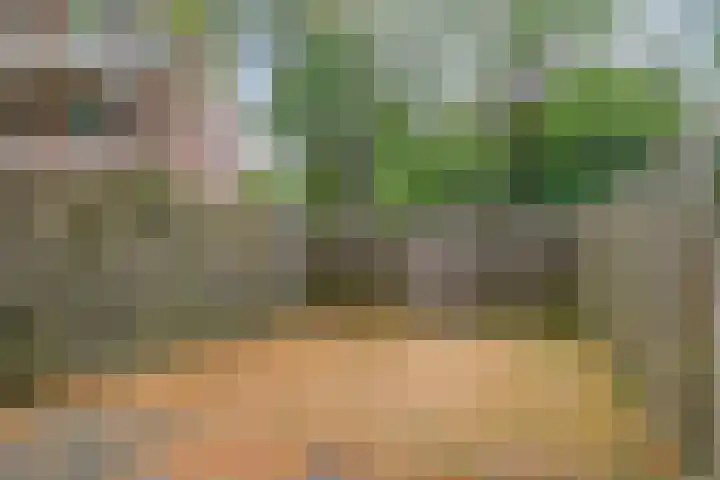 Meent 7 Horst thumbnail 17