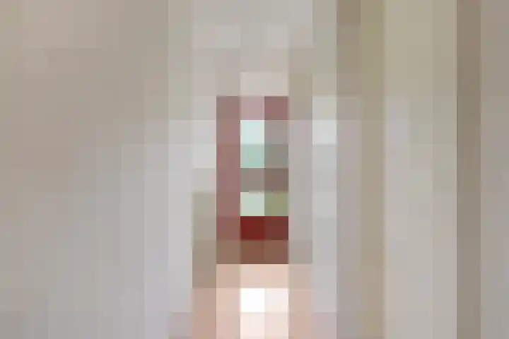 Meent 7 Horst foto 2