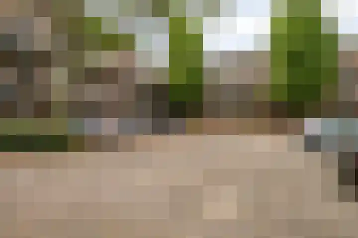 Meent 7 Horst thumbnail 24
