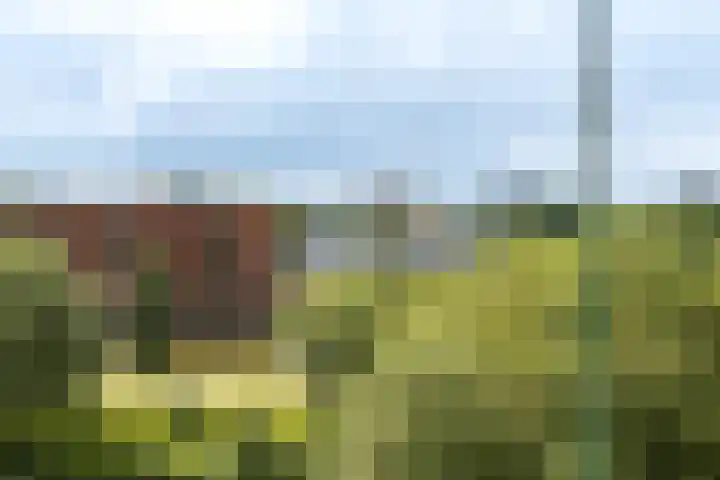 Meent 7 Horst thumbnail 25