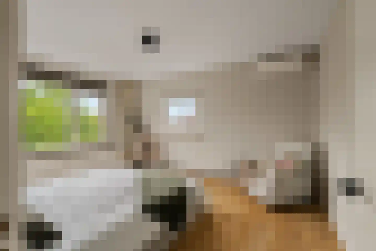 Meent 70 B Rotterdam thumbnail 23