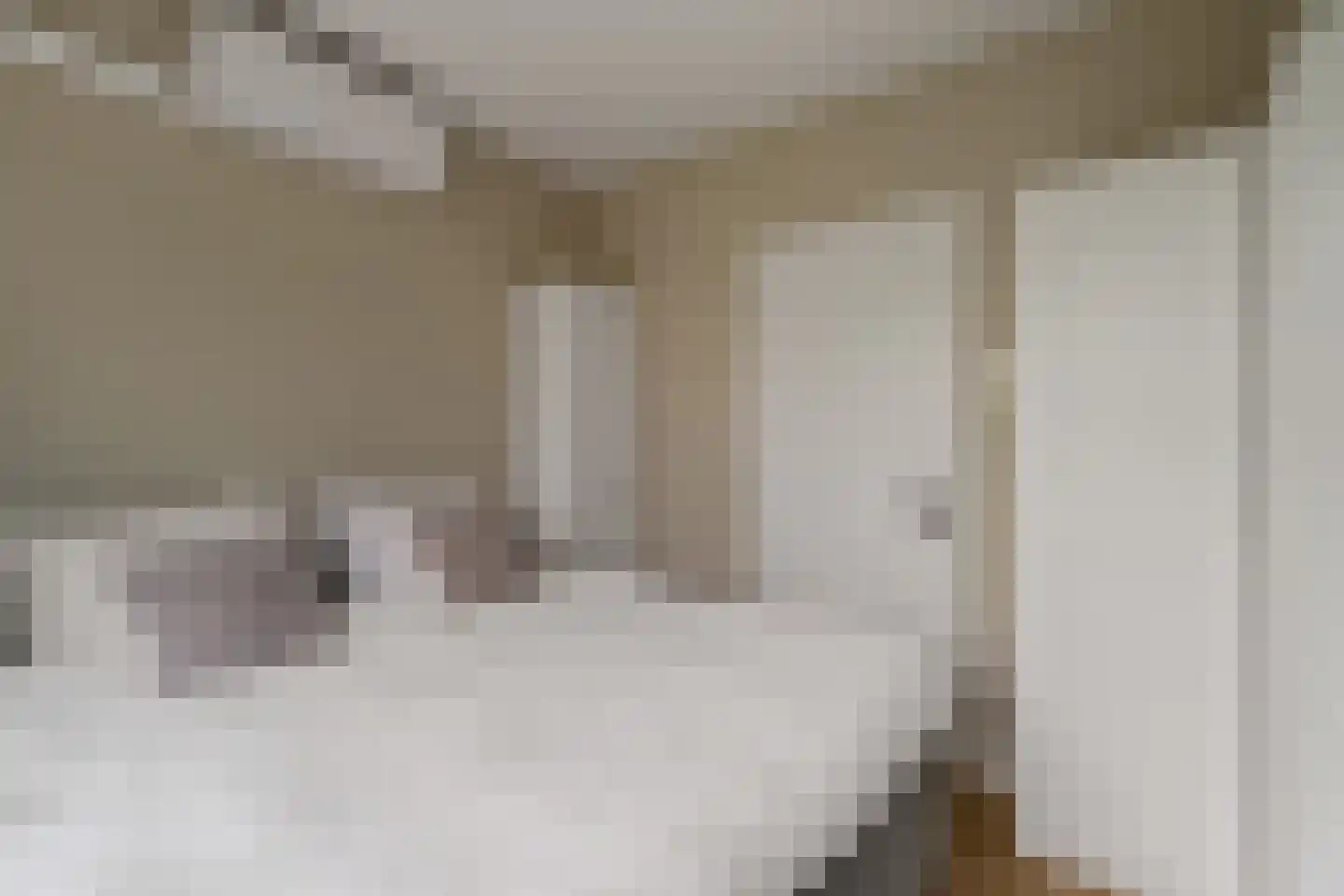 Meent 70 B Rotterdam thumbnail 37