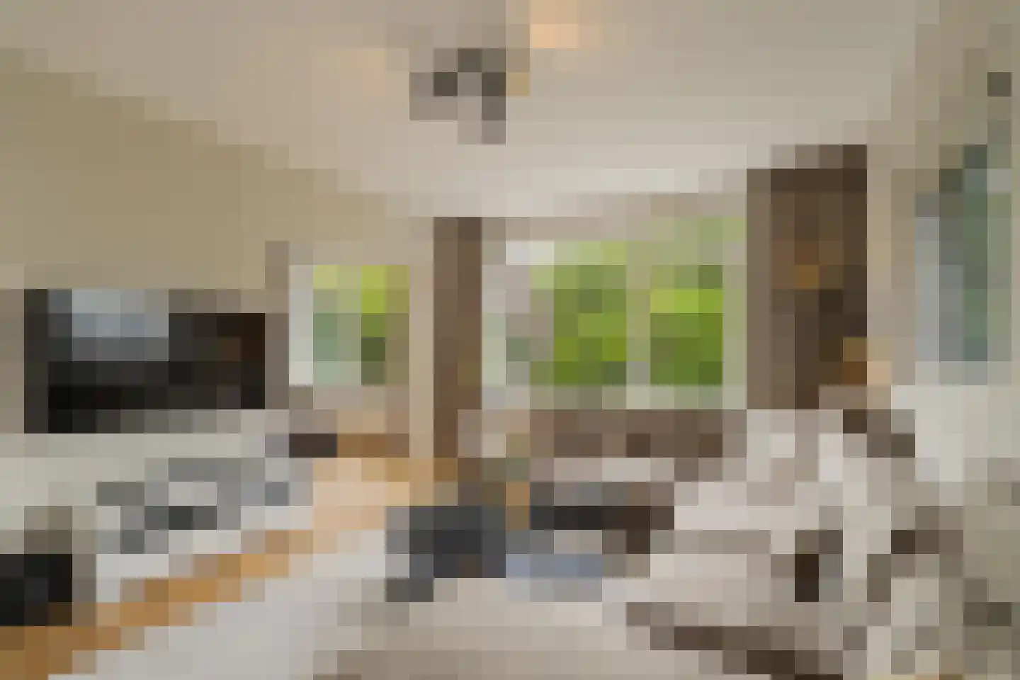 Meent 70 D Rotterdam thumbnail 14