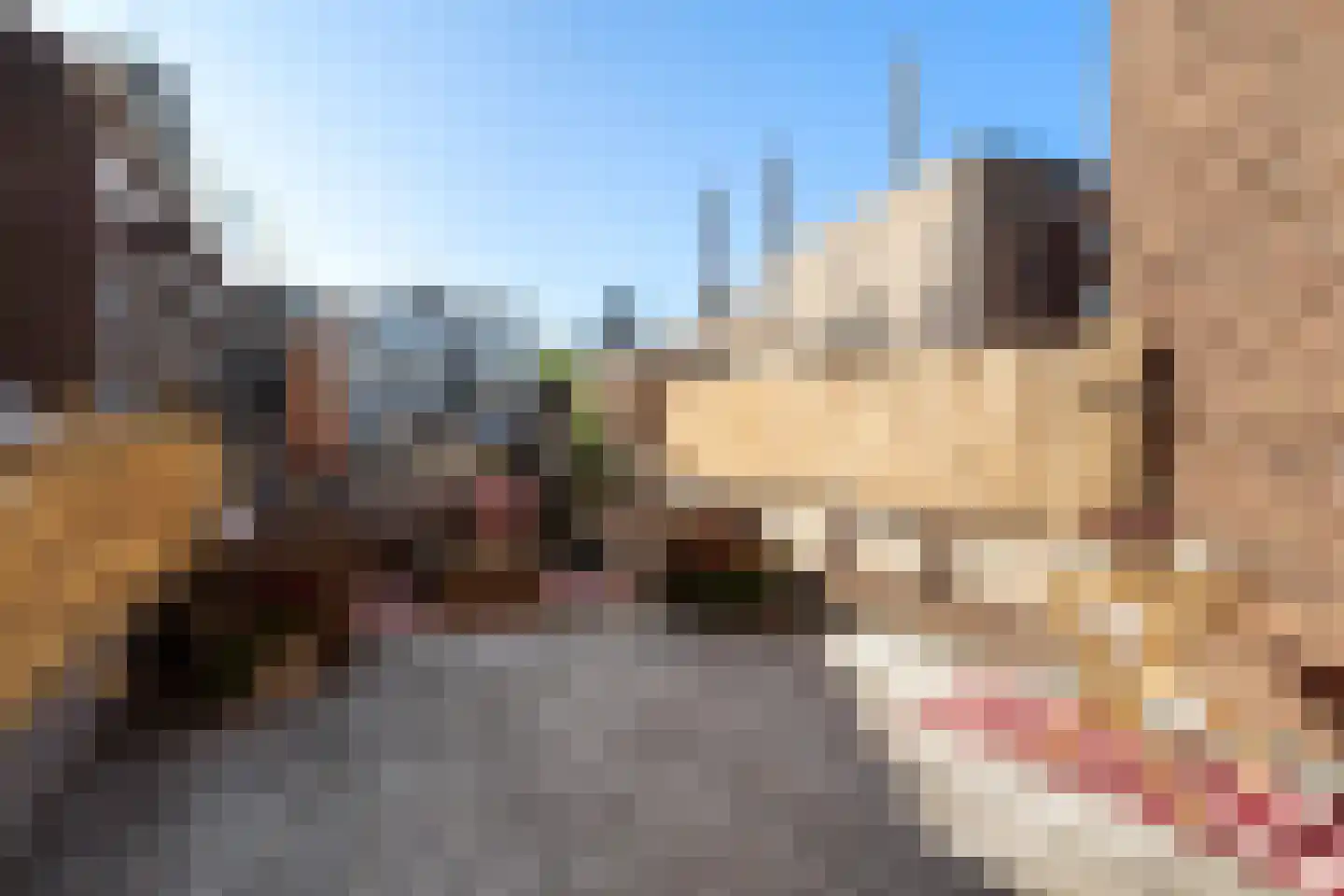 Meent 72 B Rotterdam thumbnail 24