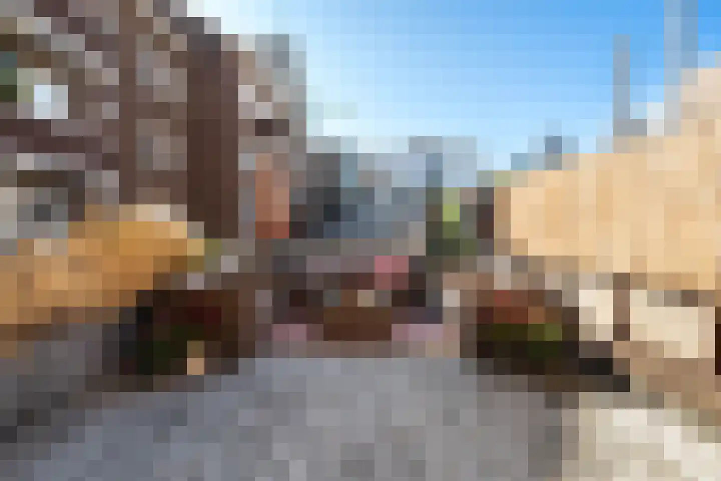 Meent 72 B Rotterdam thumbnail 26