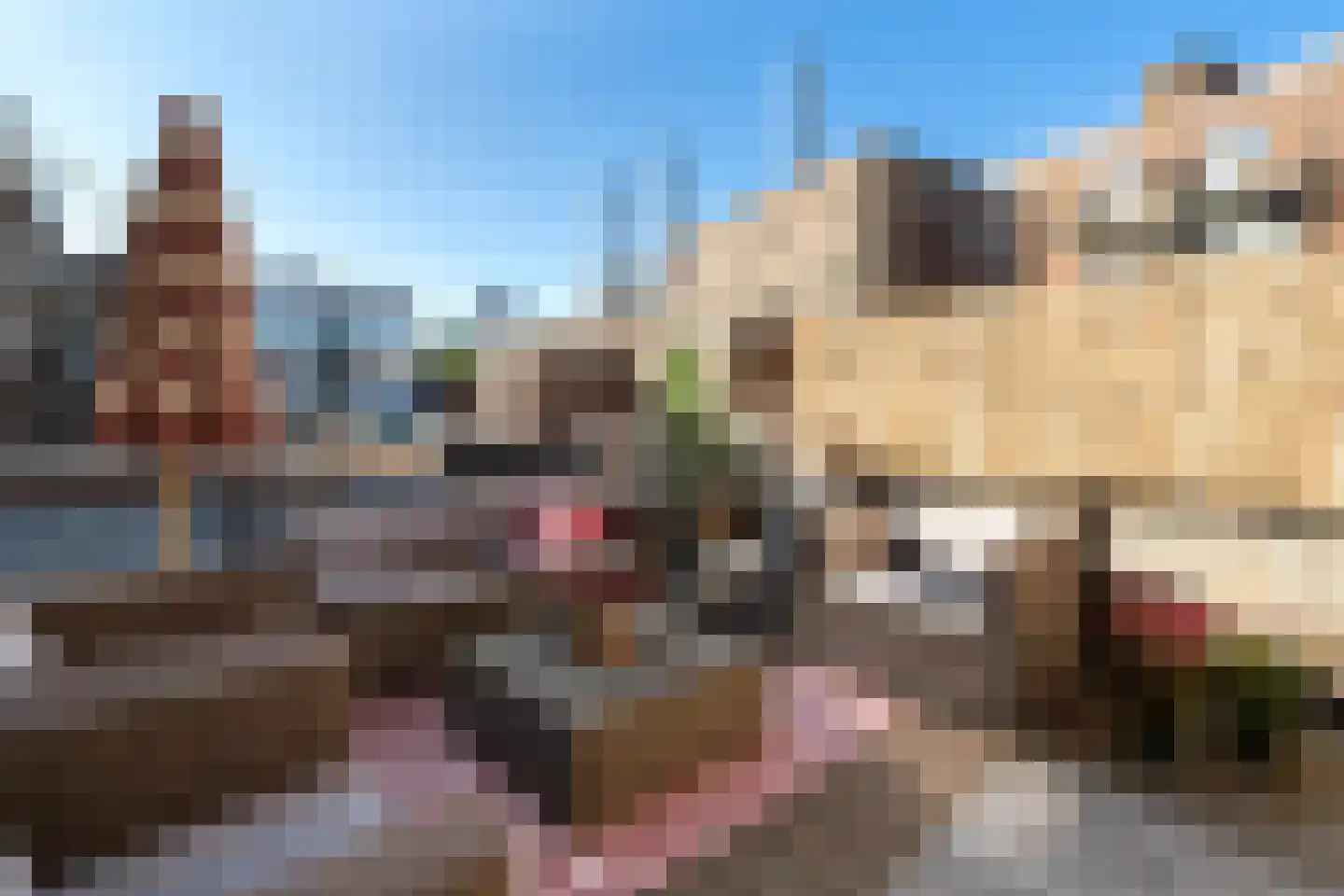 Meent 72 B Rotterdam thumbnail 27