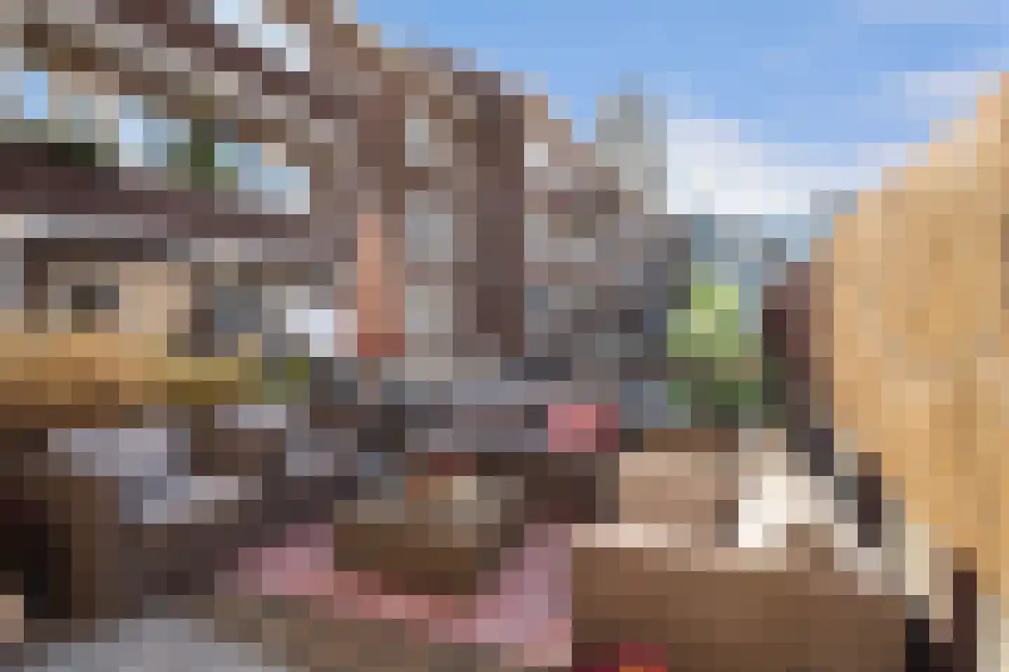 Meent 72 B Rotterdam thumbnail 28