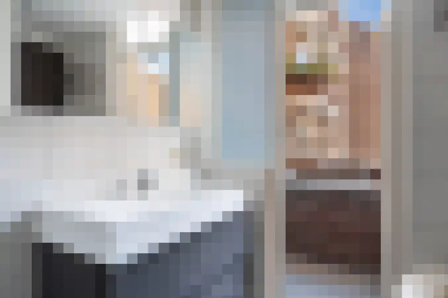 Meent 72 B Rotterdam thumbnail 39