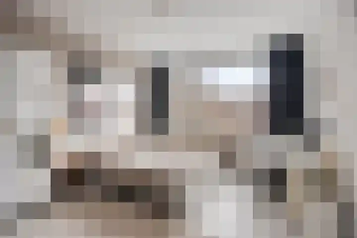 Meent 72 C Rotterdam thumbnail 22