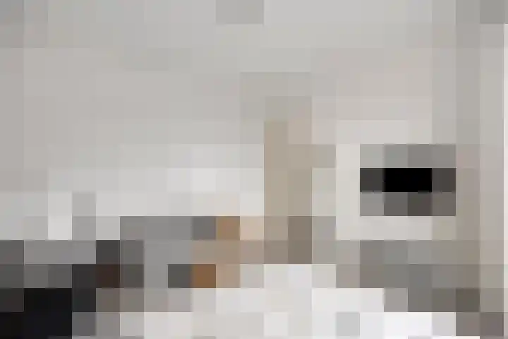Meent 72 C Rotterdam thumbnail 25