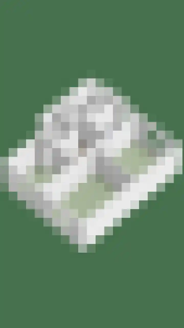 Meent 72 C Rotterdam thumbnail 34