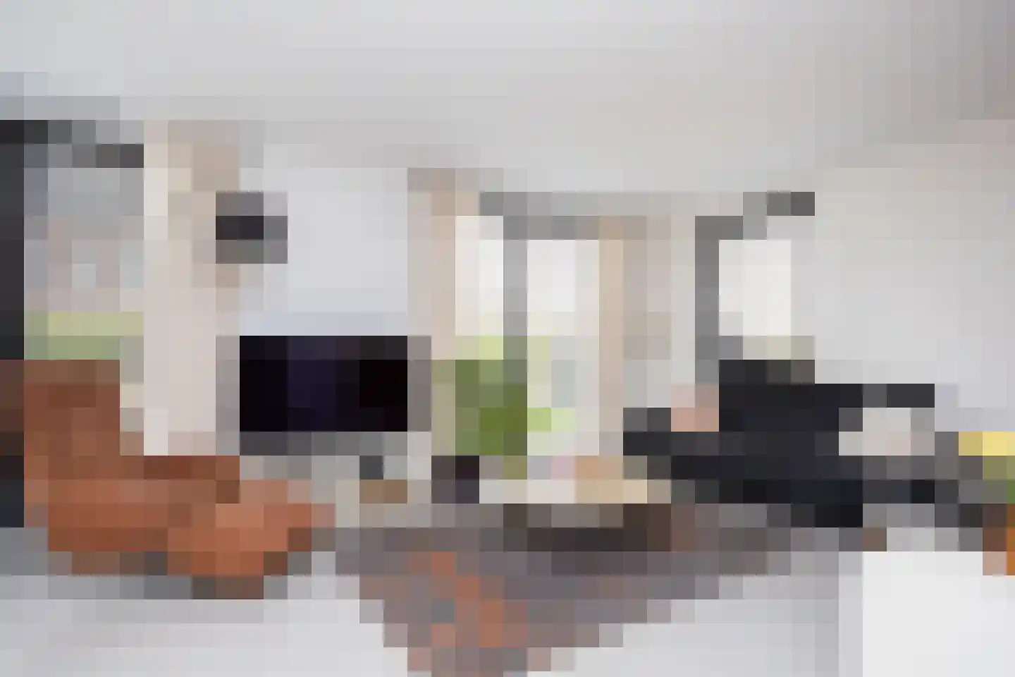 Meent 72 C Rotterdam thumbnail 37
