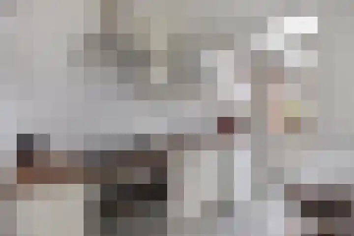 Meent 72 C Rotterdam thumbnail 6