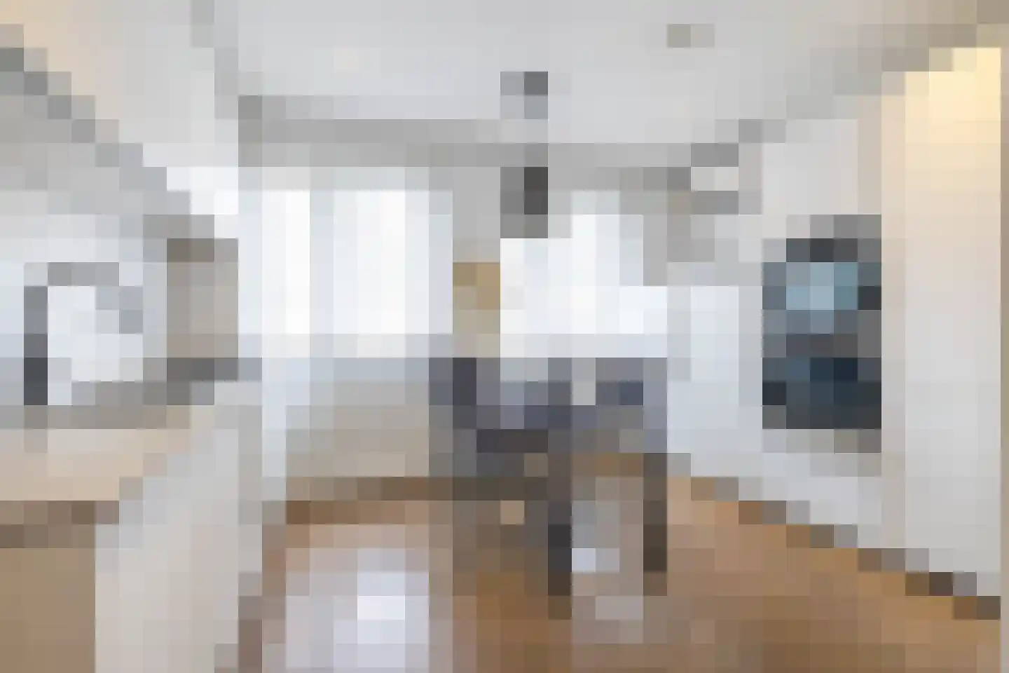 Meent 75 C Rotterdam thumbnail 8