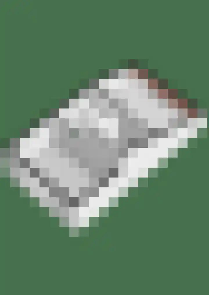 Meent 78 Leerdam thumbnail 36