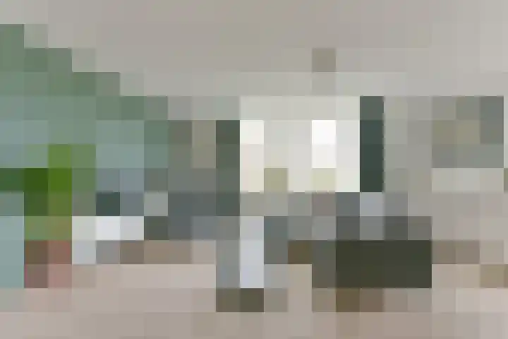 Meent 8 Zeist thumbnail 16