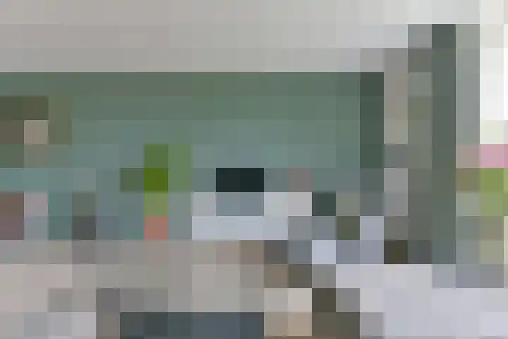 Meent 8 Zeist thumbnail 21