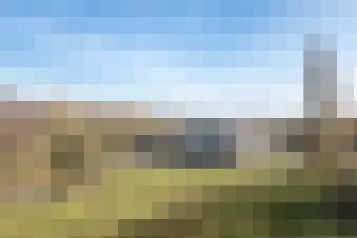 Meent 8 Zeist thumbnail 35