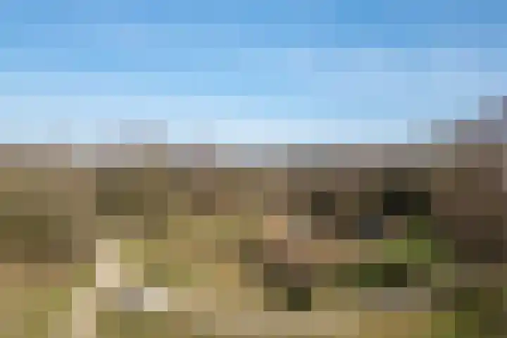 Meent 8 Zeist thumbnail 36