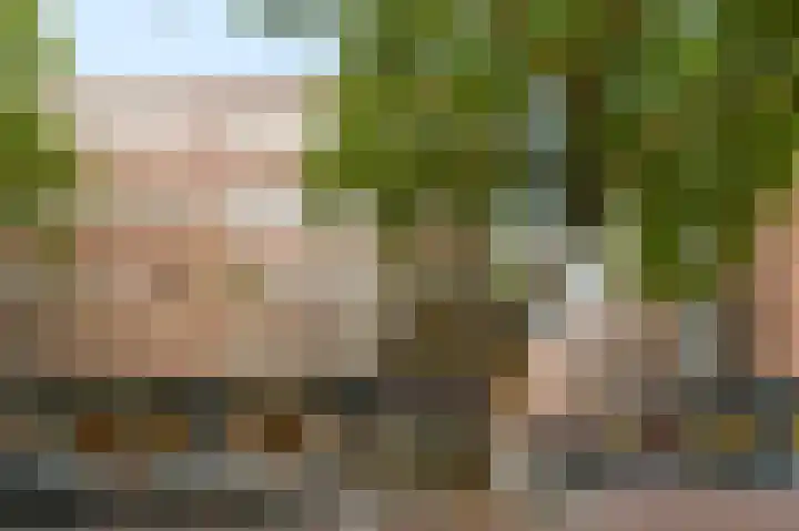 Meent 81 B Rotterdam thumbnail 32