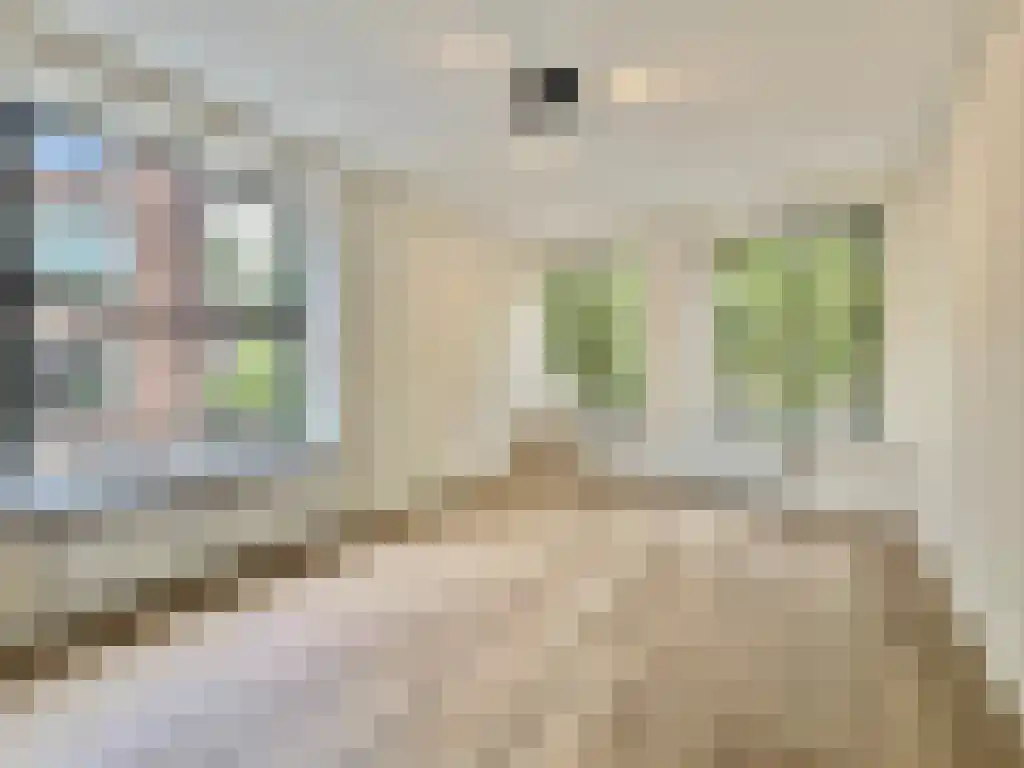 Meent 81 C Rotterdam thumbnail 5