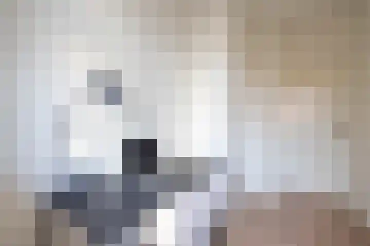 Meent 83 E Rotterdam thumbnail 16