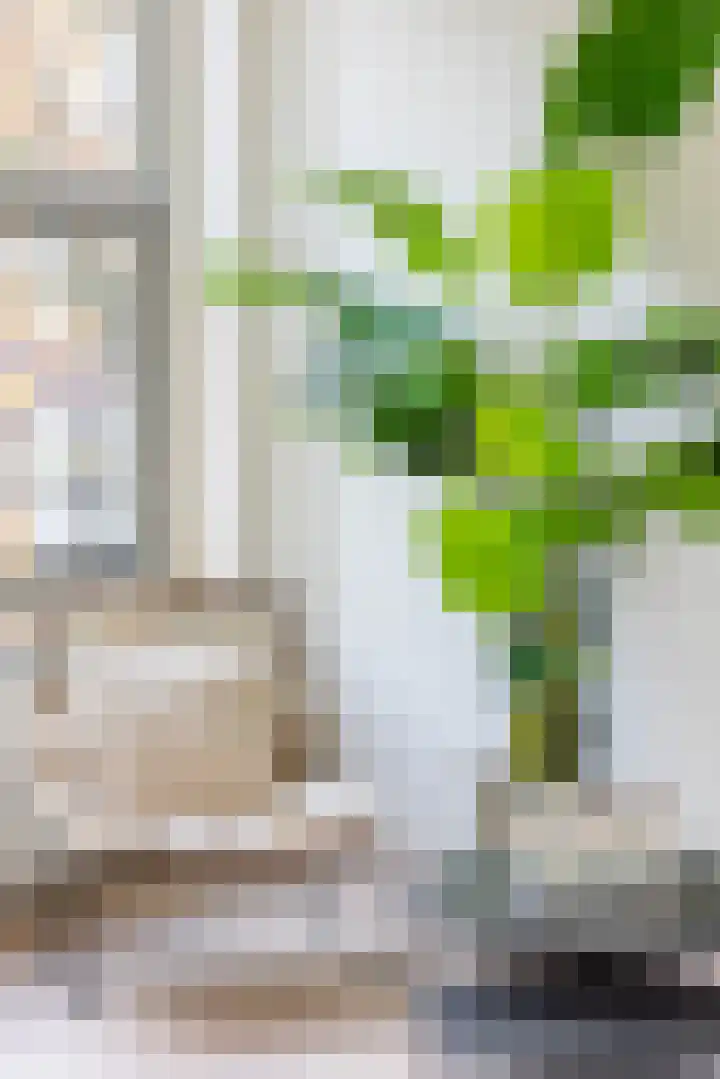 Meent 83 E Rotterdam thumbnail 6