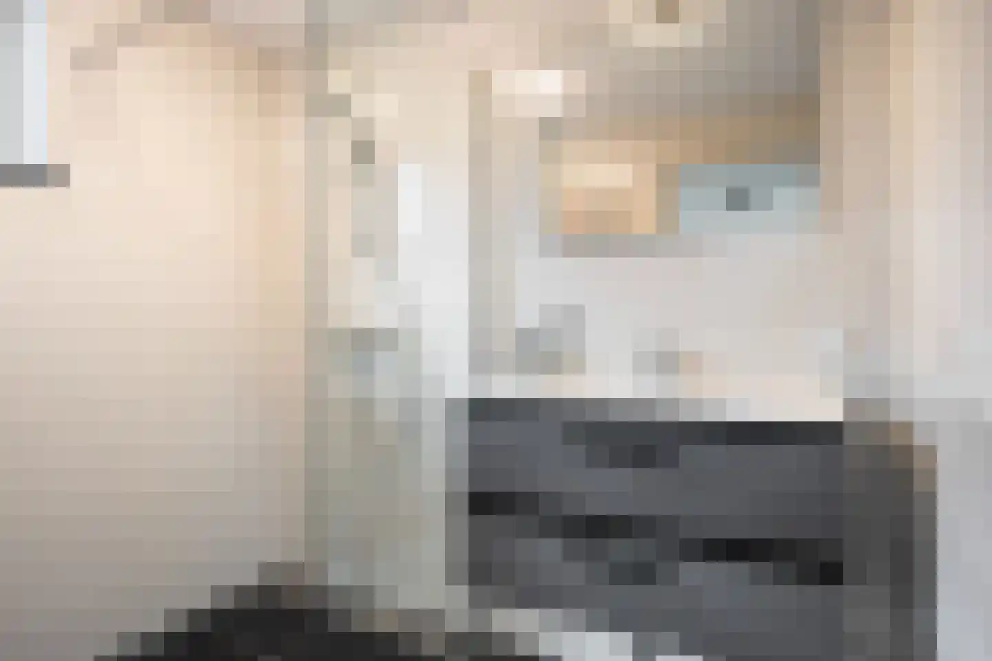 Meenteweg 42 Schildwolde thumbnail 33