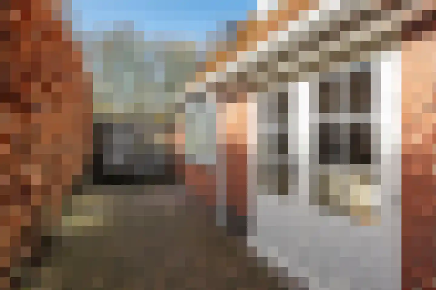 Meenteweg 42 Schildwolde thumbnail 37