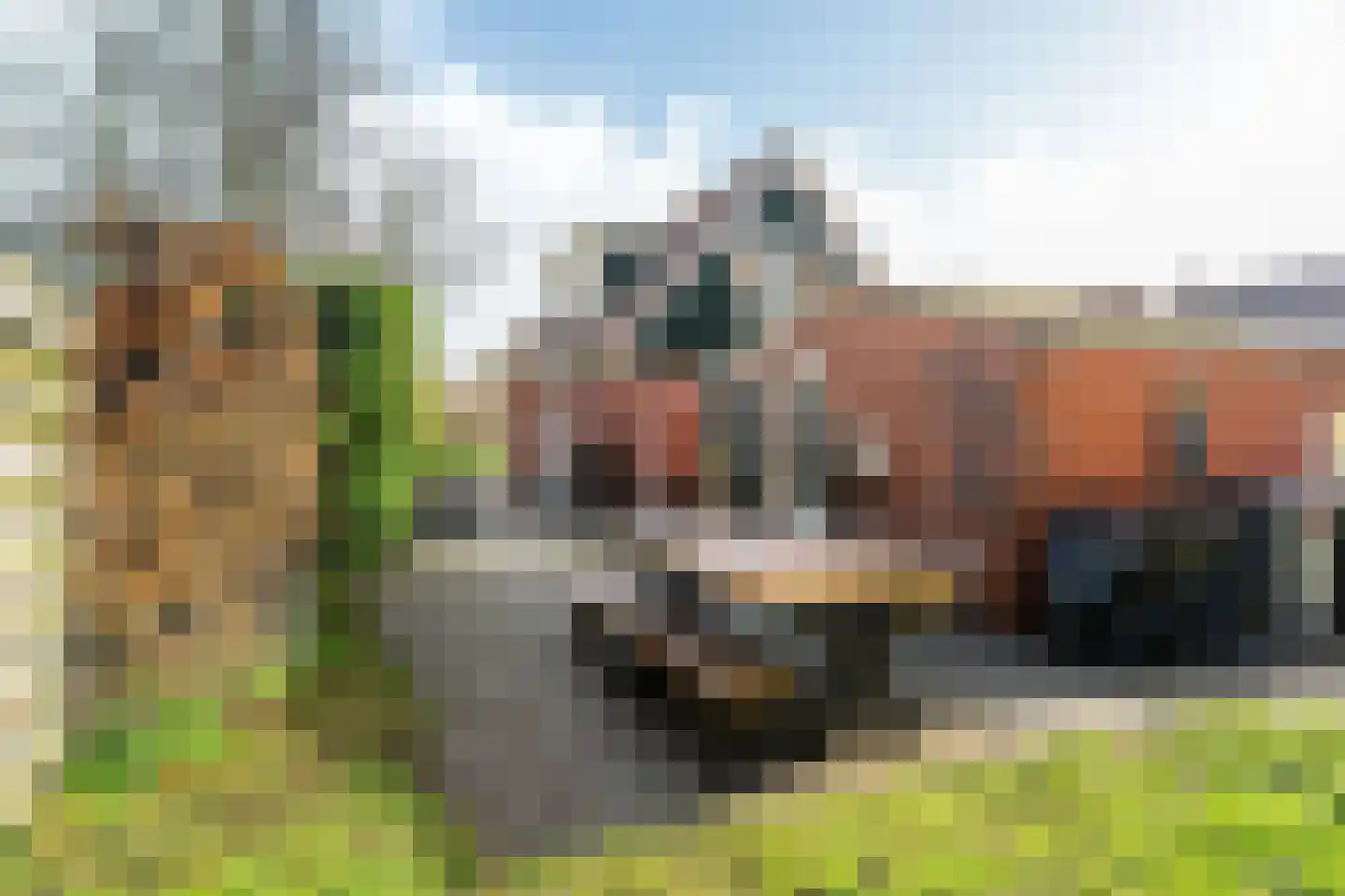 Meenteweg 42 Schildwolde thumbnail 43