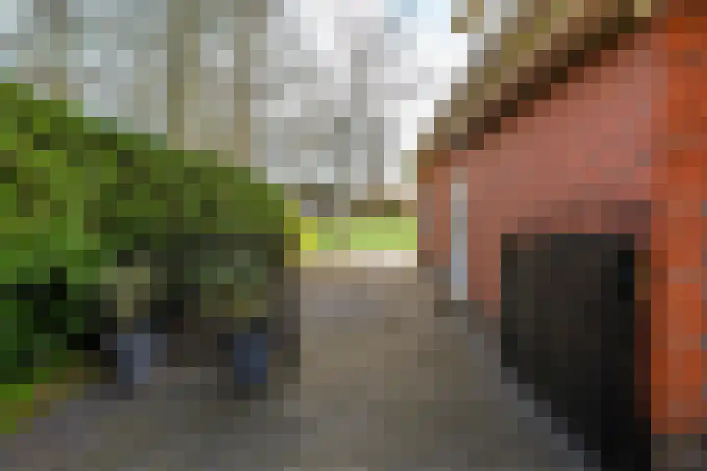 Meenteweg 42 Schildwolde thumbnail 44