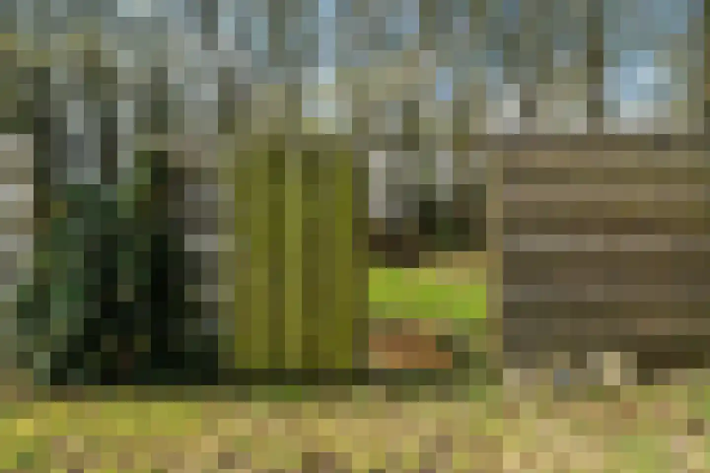 Meenteweg 42 Schildwolde thumbnail 46