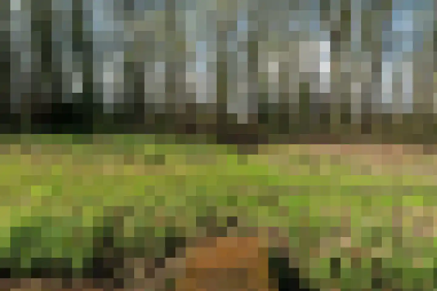 Meenteweg 42 Schildwolde thumbnail 49