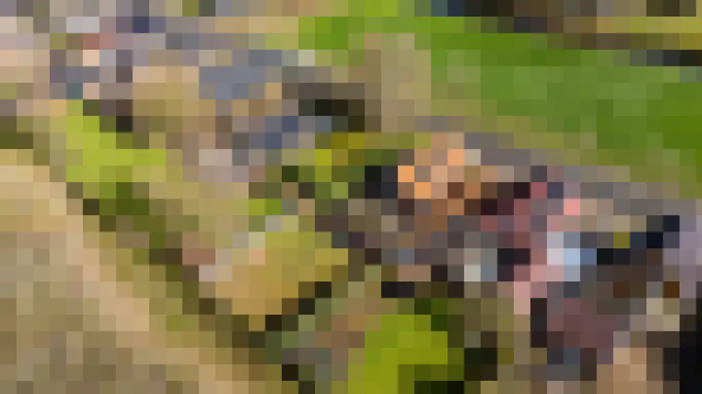 Meenteweg 42 Schildwolde thumbnail 50