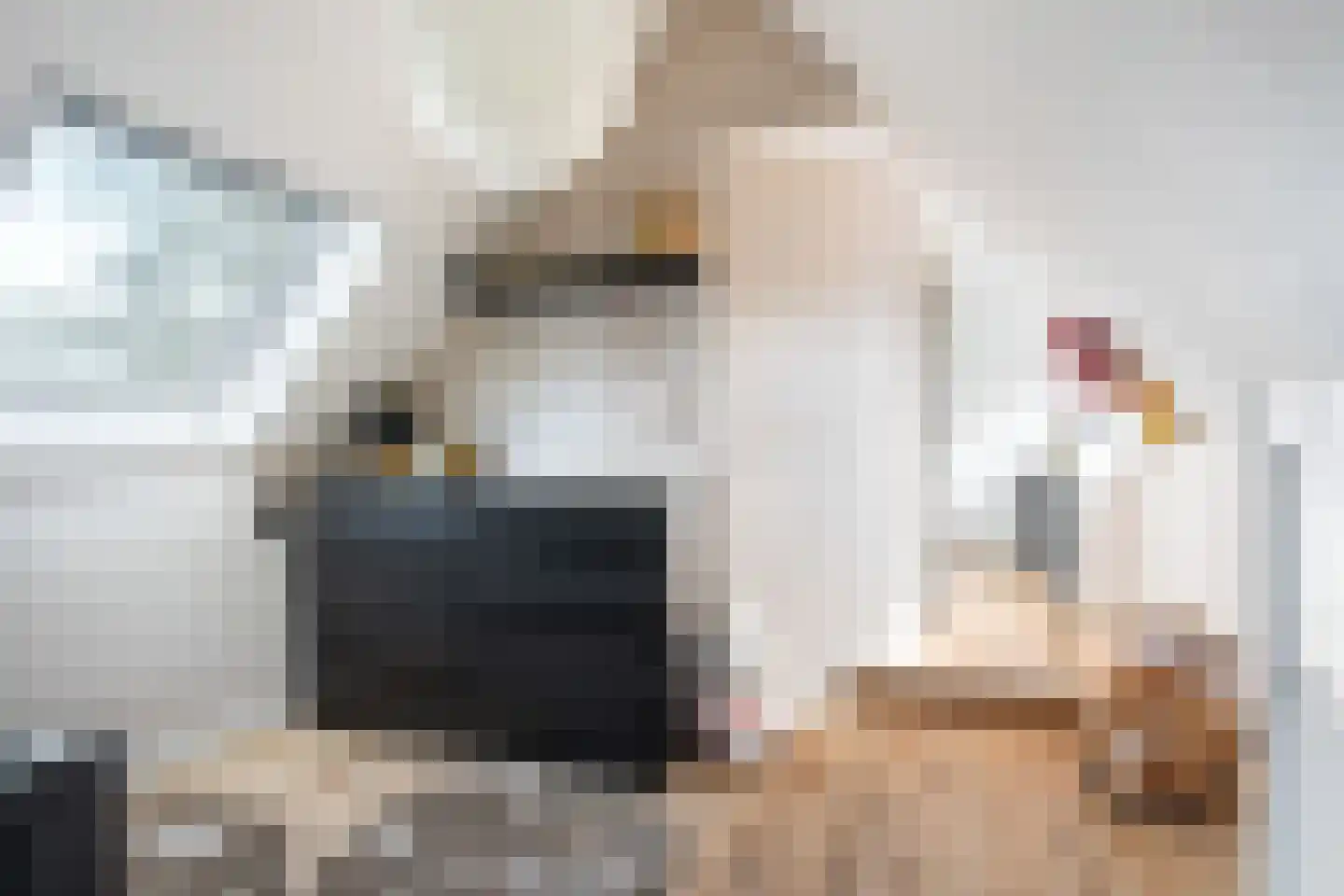 Meenteweg 42 Schildwolde thumbnail 63