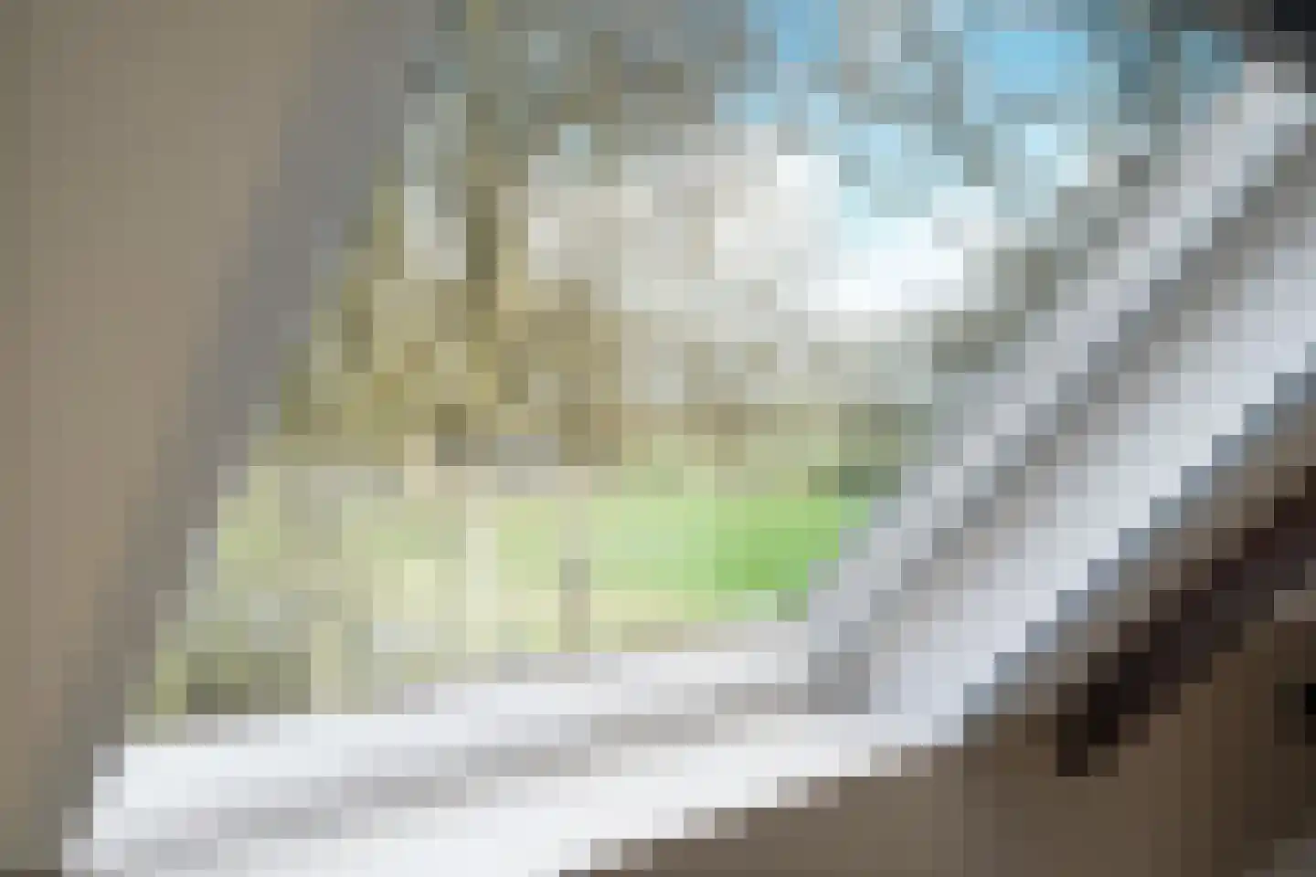 Meenteweg 42 Schildwolde thumbnail 64