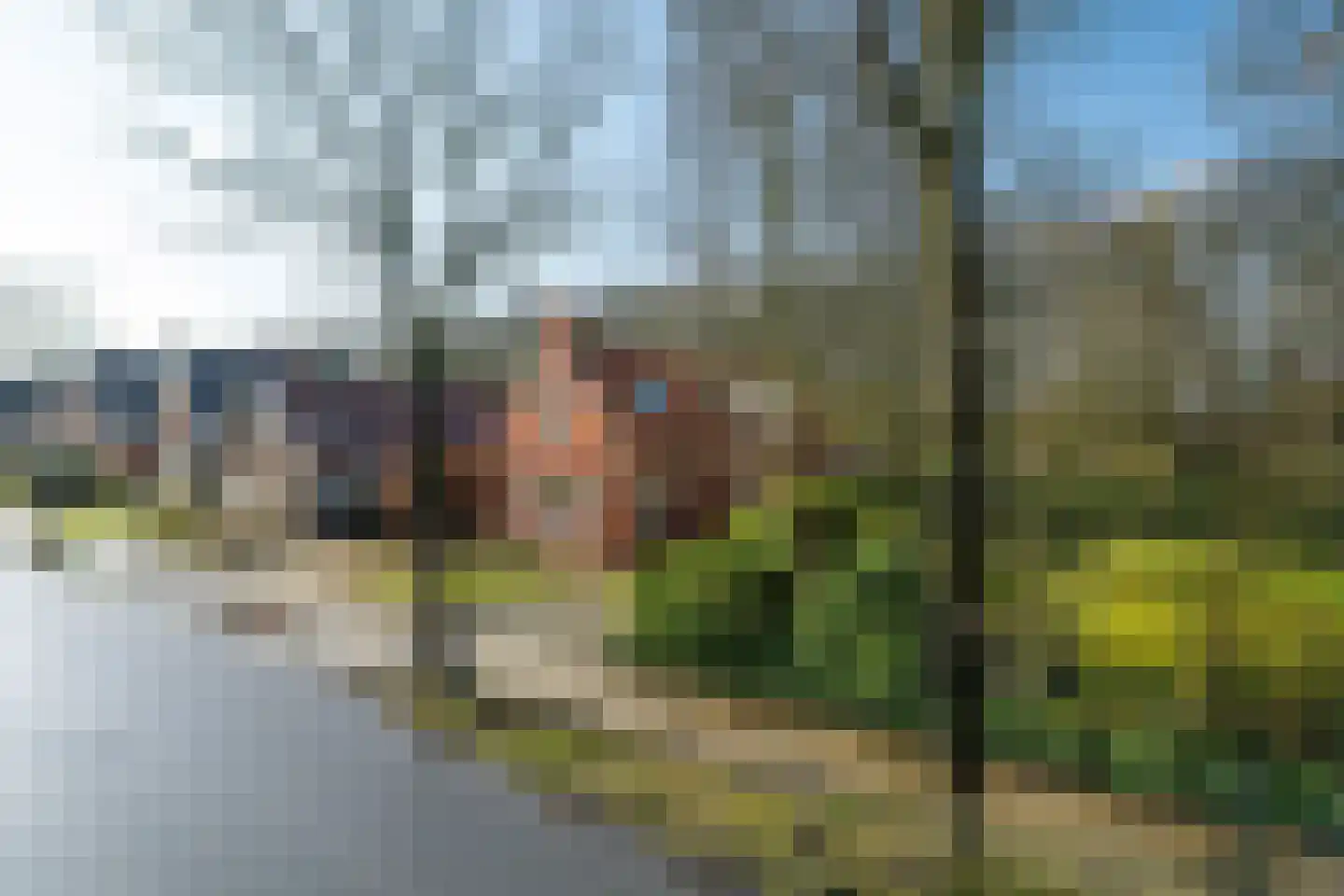 Meenteweg 42 Schildwolde thumbnail 8