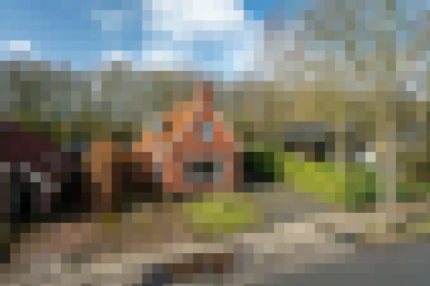 Meenteweg 42 Schildwolde thumbnail 9
