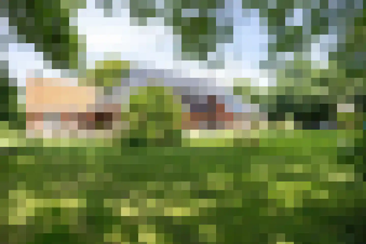 Meenteweg 6 Overschild thumbnail 10