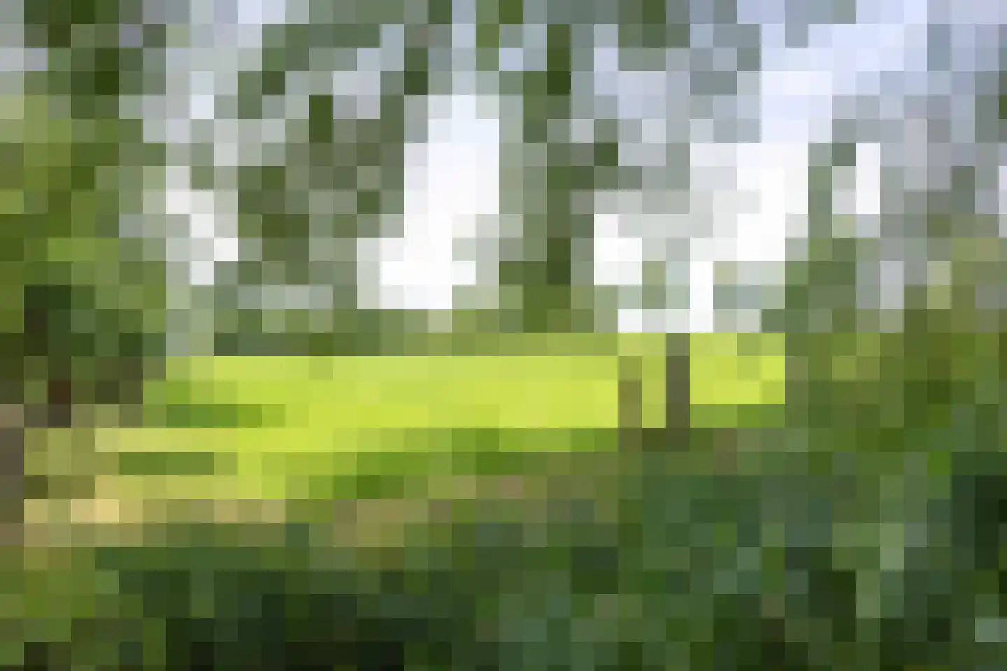 Meenteweg 6 Overschild thumbnail 100
