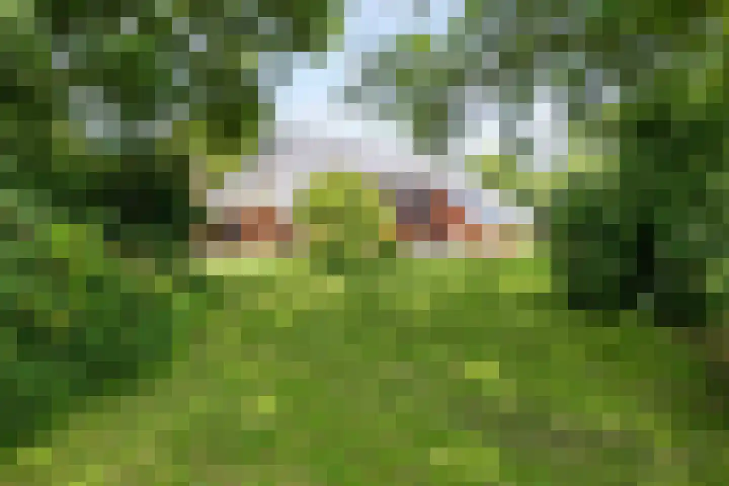 Meenteweg 6 Overschild thumbnail 101
