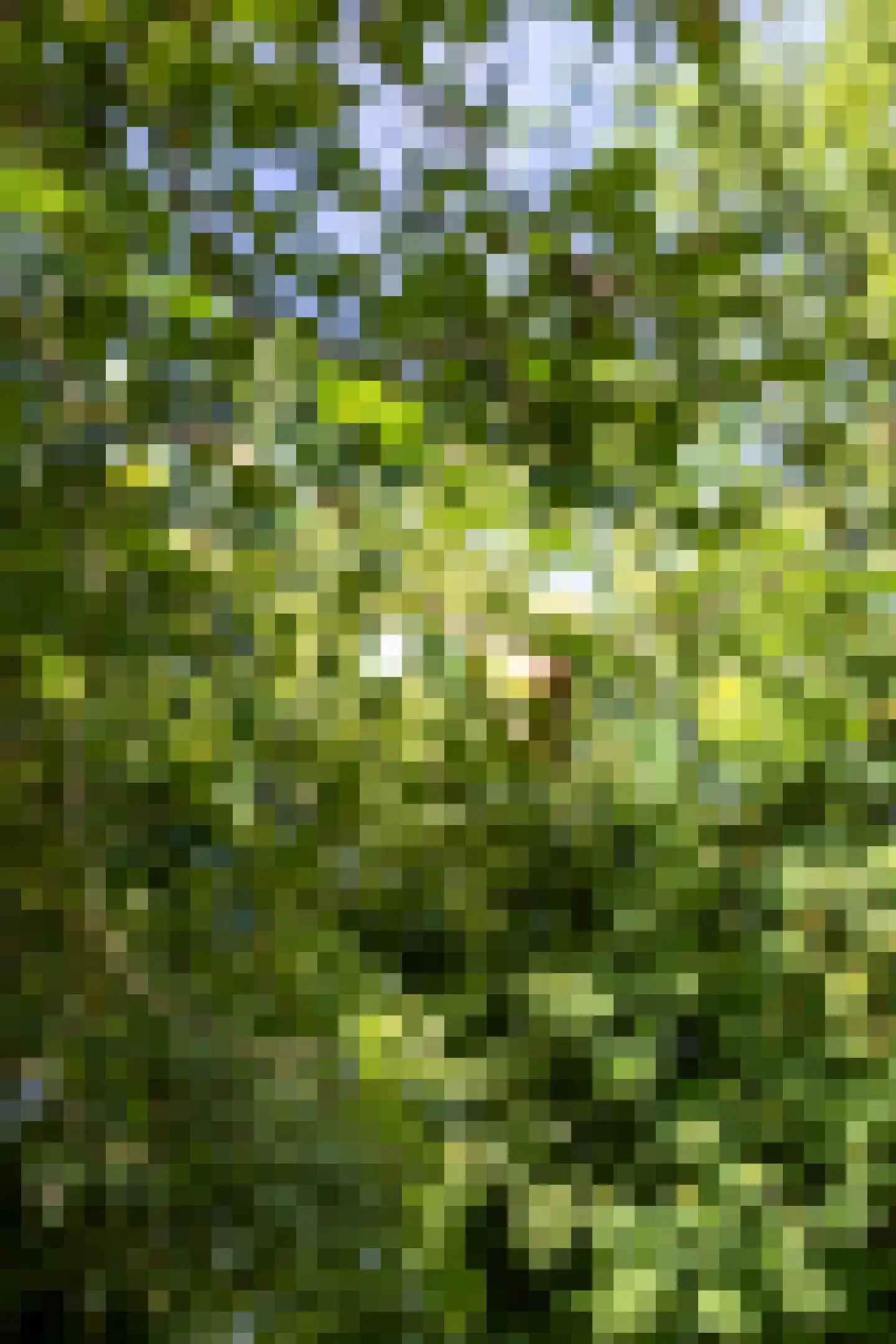 Meenteweg 6 Overschild thumbnail 103