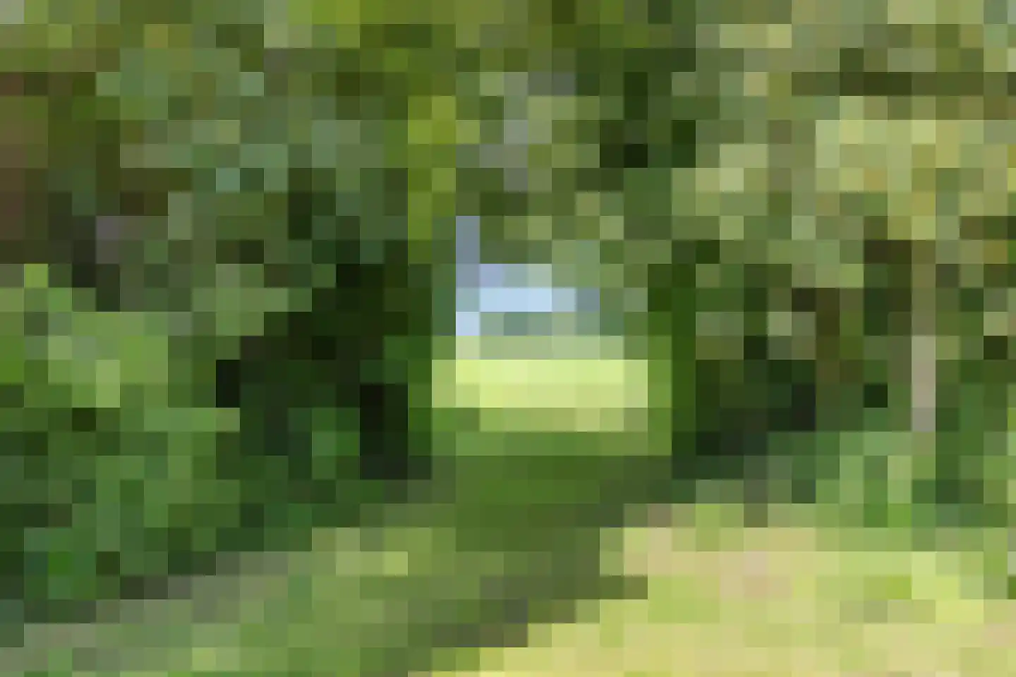 Meenteweg 6 Overschild thumbnail 104