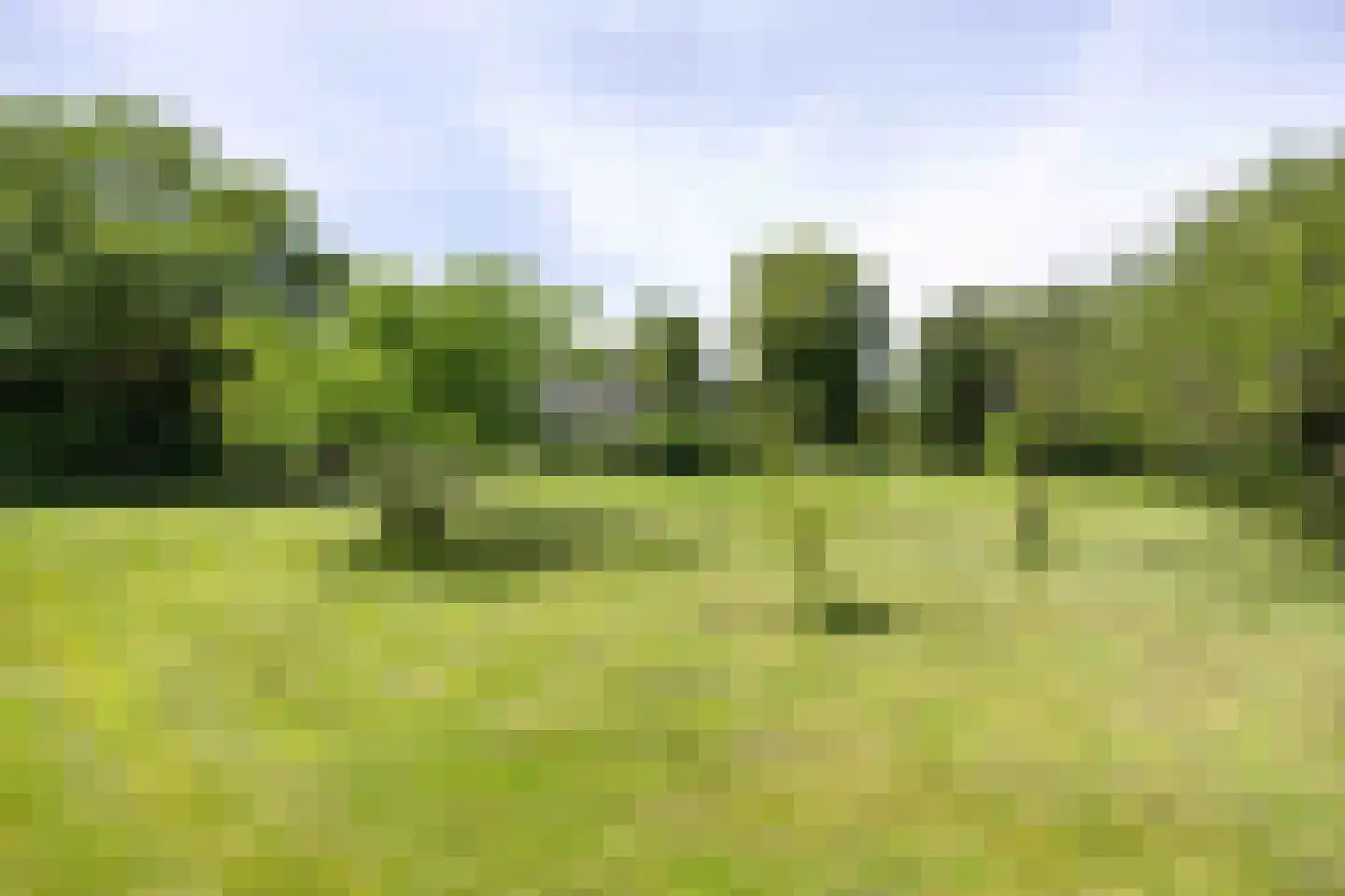 Meenteweg 6 Overschild thumbnail 106