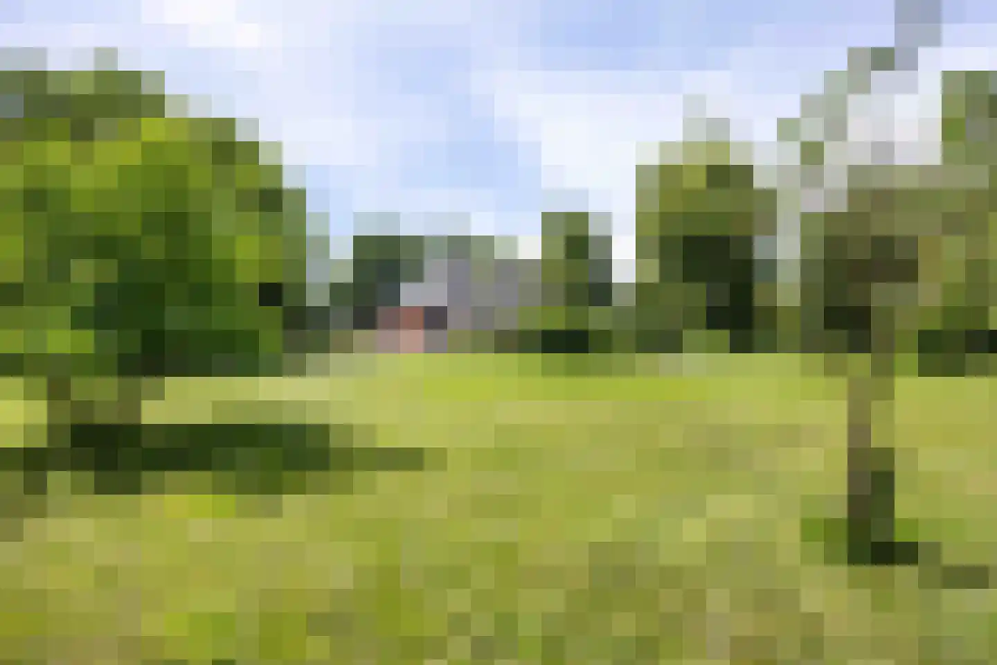 Meenteweg 6 Overschild thumbnail 107